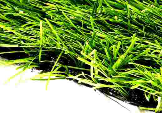 Premium Grass «Football 40 Green Gradient 12000»