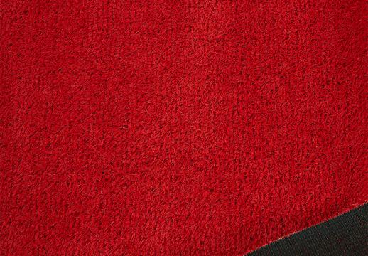 Premium Grass «Standart 20 Red»