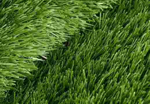 Premium Grass «Football 50 Green 10000»