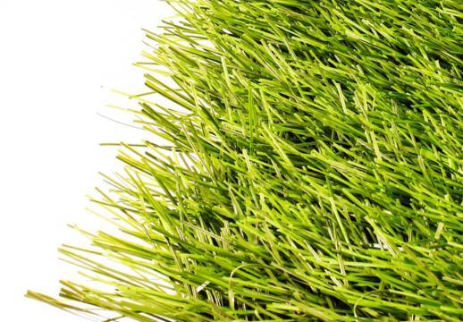 Premium Grass «Football 60 Green 10000»